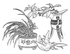 ����D�� ����Ԣ��