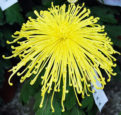 �ջ��������[ʿ��