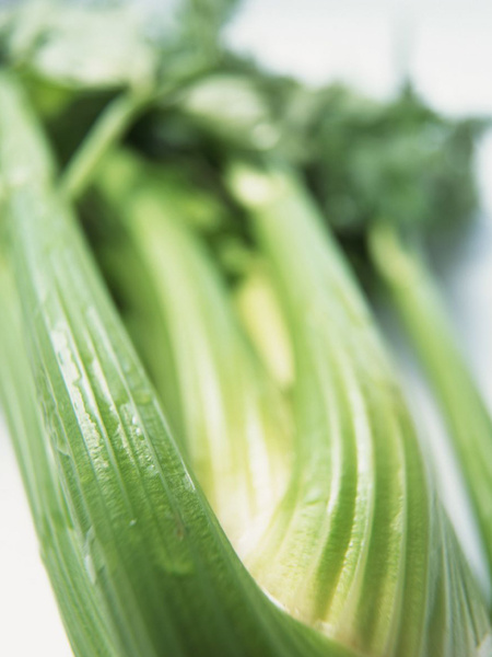 �l���ǡ��㿨·��p�ʹ�܊��