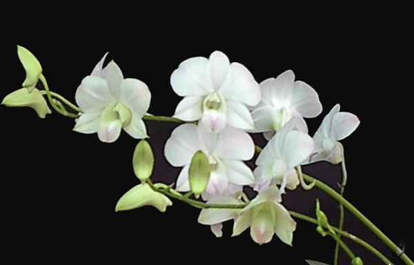 һ���m���ĸ��