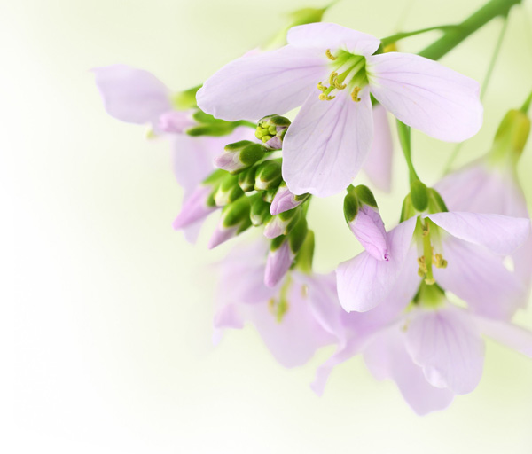 һ���m���ĸ��