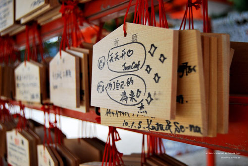 JUNCAT���OӋ��һ֧�Pһ����