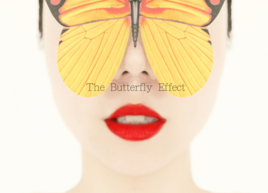 �L��ҕ�X��The Butterfly Effect