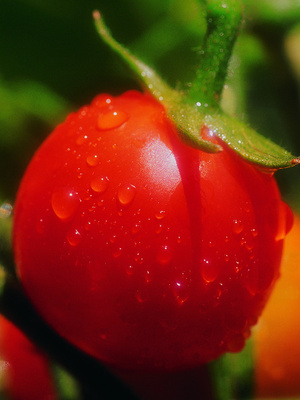 �l�fƽ�r�Ͳ�����Ч���ף�