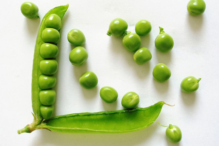 ţ���ώ����㡰���óԲŕ��ס�