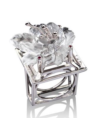 ��������2011 LIULI PLUX �^�����