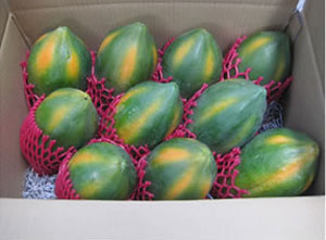 ľ�ϵ��������S��߀���ܿs����