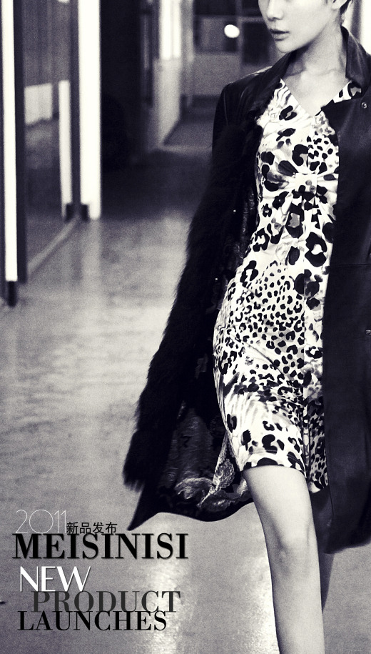 �L��ҕ�X��MEISINISI 2011��Ʒ�l��