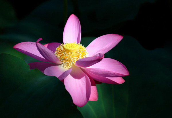 ɏ���� ������ּ��