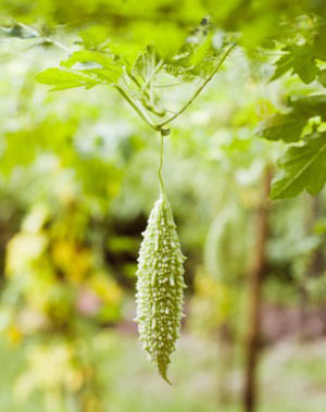 �ļ��p�ʵ���Ʒ �Ʉe�e�^�@6�N���ϡ�