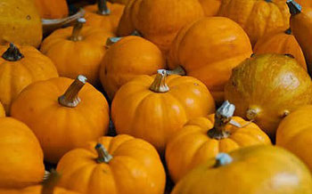 �ļ��p�ʵ���Ʒ �Ʉe�e�^�@6�N���ϡ�