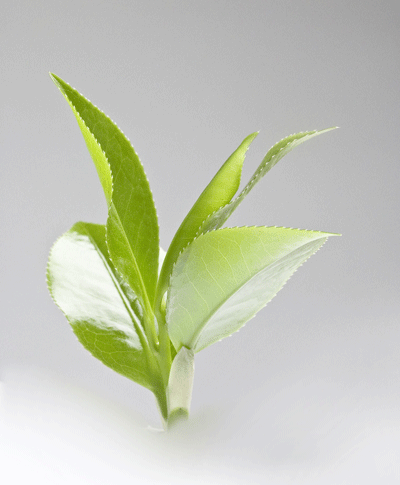 һƬ�G�~��һ����Ԓ