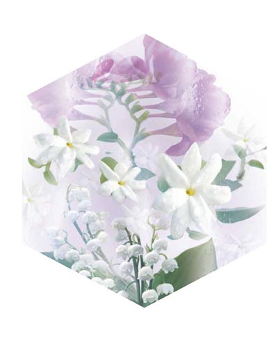 ���m����ˮ�Z����ˮ7�¾�������