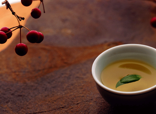 �ļ��� �t������ 