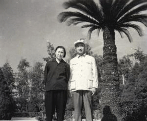 ��Ѹ����µĿ������