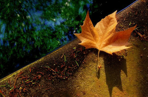 ���~��ƣ��ĺ���