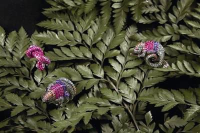 �������`�錚�Wҫ����Ȼ���A���E