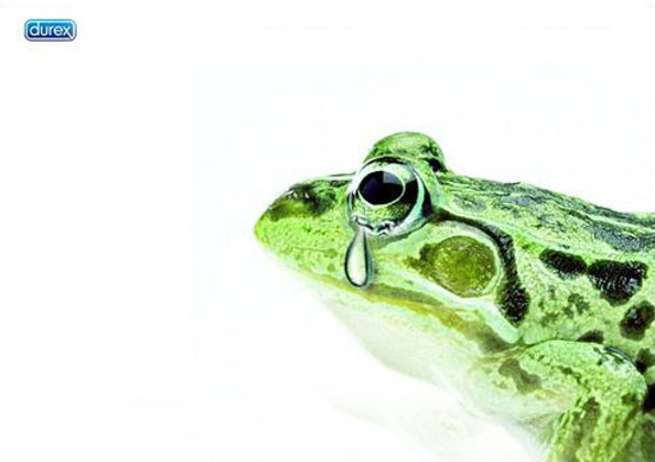 ��ȫ����˹�V��ϼ����o(w��)���Ķ��τ�(chu��ng)��˼�S