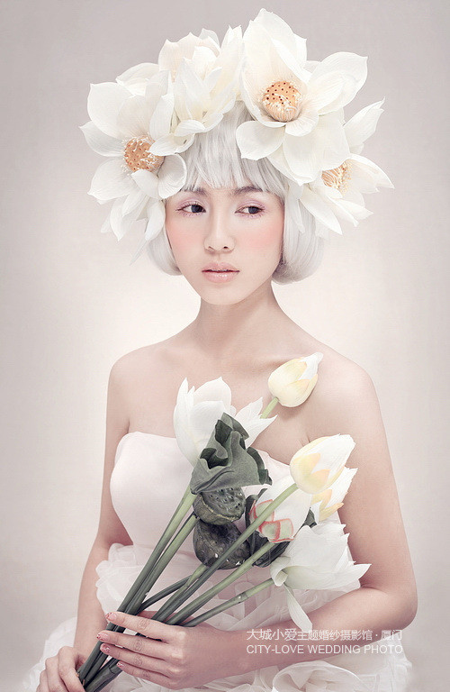 �����w���ɡ����[���¼����׺�֮��