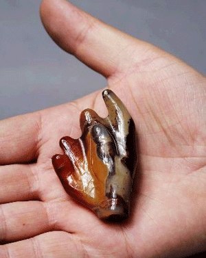 ����мtɫ������F