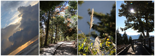 С�꣺���ߣ�70���Ԋ��