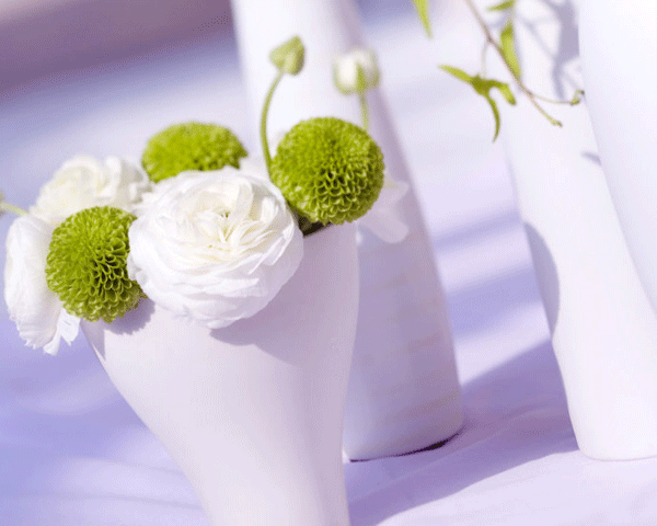 ��һ�݌��o��׌�Ěw��ƽ�o