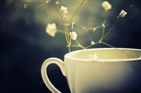 һ�����ɲ��ߵ����`