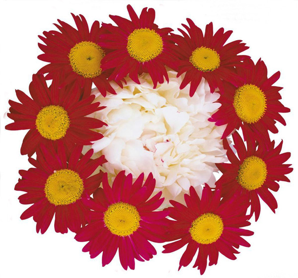 ����H����Ϧ����ͶY��