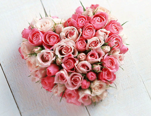 �����x������ȥ