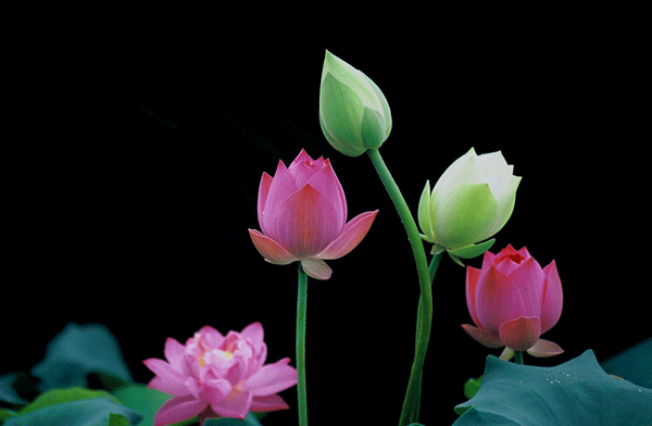 �˰�����ǧ��I