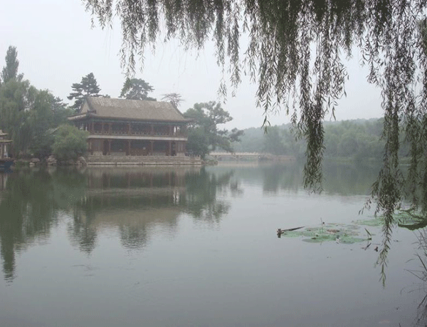 ��ǰ������������l���裿