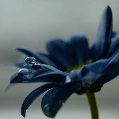 �ۜI֪��ʲô�ǐ�