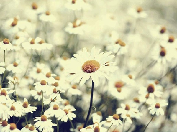 �����ഺ��ӛ��