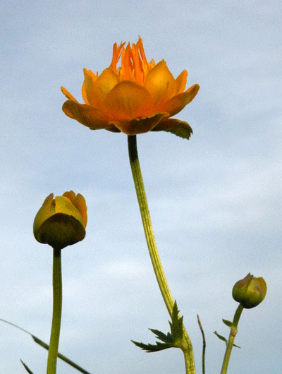 ׌��ԭ�������Ľ�ɏ��ʢ�_��ɳĮ��