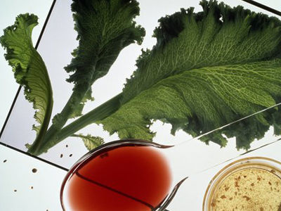 ����15�� ������o���㽶�לp�ʷ�