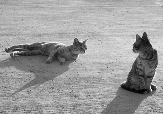 �����⣺�������ĔzӰ�DƬ