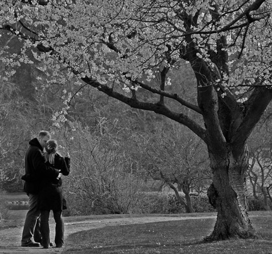 �����⣺�������ĔzӰ�DƬ