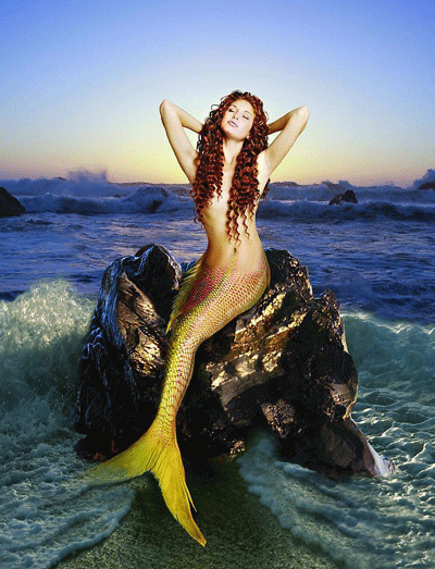 ���������~