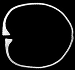 �Ї�(gu��)�Ŵ�Ů�ӵ�˽�y