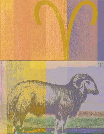 十二星座面試指南