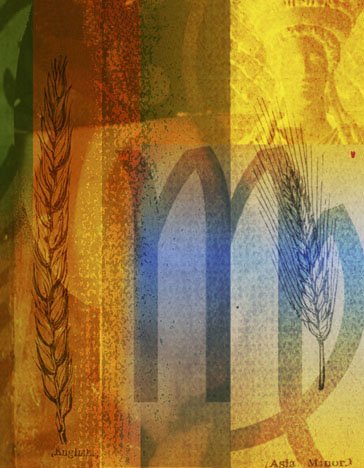 十二星座面試指南