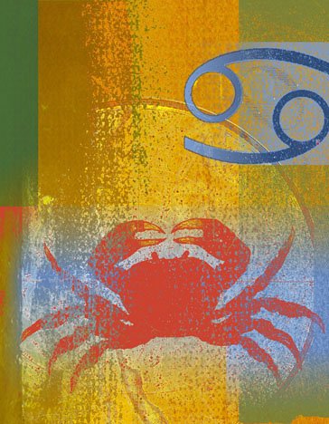 十二星座面試指南