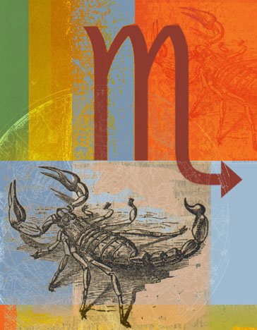 十二星座面試指南