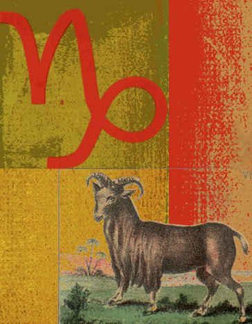 十二星座面試指南