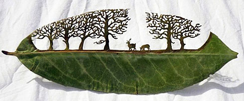 �@�G�Ę��~���ˇ�g