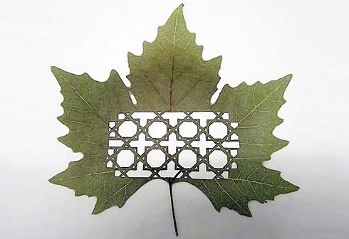 �@�G�Ę��~���ˇ�g