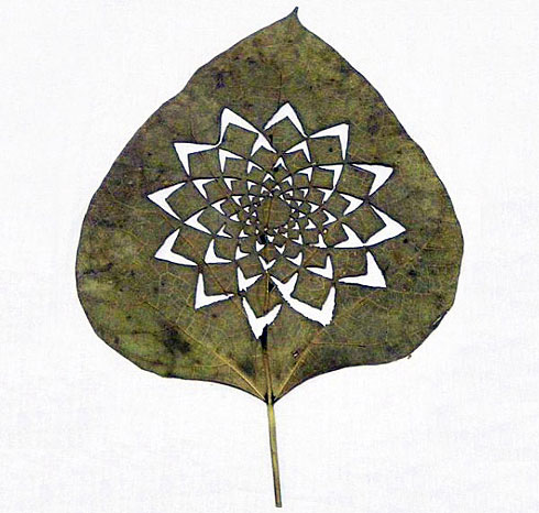 �@�G�Ę��~���ˇ�g