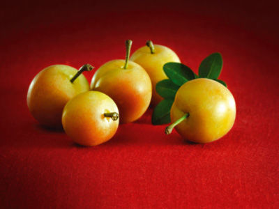 ����+������o�� ����10�����Ӝp�ʷ�