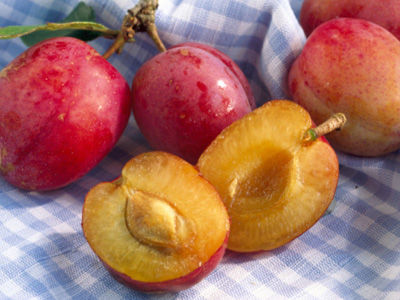 ����+������o�� ����10�����Ӝp�ʷ�