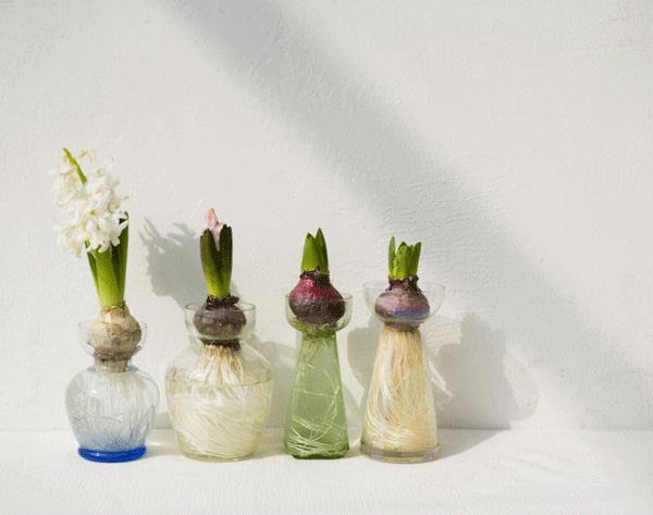 ��ϧ������ÿһ�N��ζ 